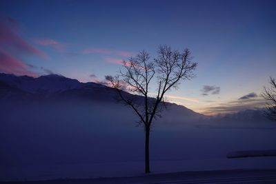 Silhouette tree by lake against sky during sunset