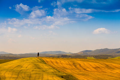 Scenic view of landscape against sky