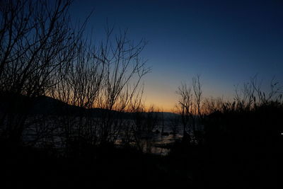 Bare trees on landscape at sunset