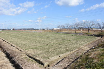 Scenic view of field against sky