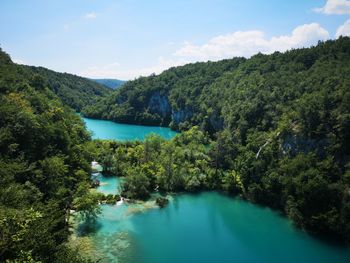 Scenic view of lake amidst trees against sky