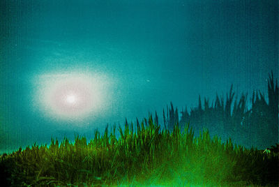 Scenic view of plants against blue sky