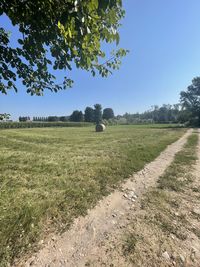 Scenic view of field against clear sky