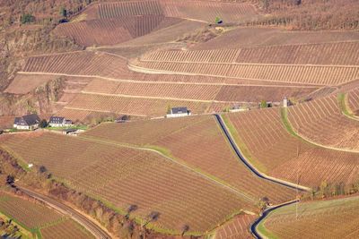 High angle view of agricultural field