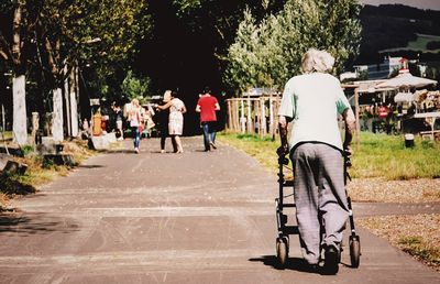 Rear view of people walking on road along trees