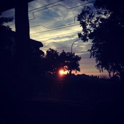 Silhouette of trees at sunset