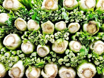 Full frame shot of vegetables for sale at market stall