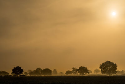 Silhouette trees on field against sky during sunset