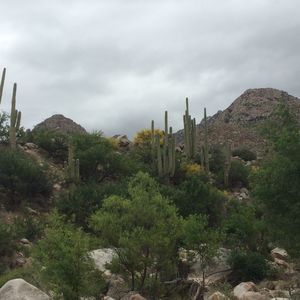 View of mountain against cloudy sky