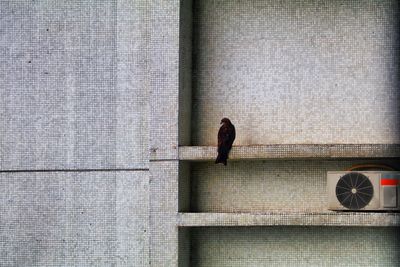 Man standing on tiled floor