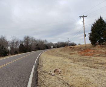 View of dirt road against sky