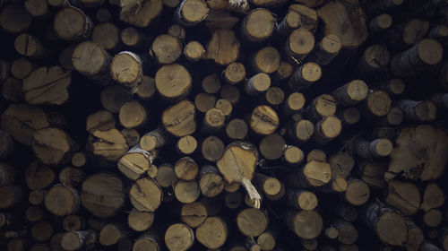 Stack of logs 