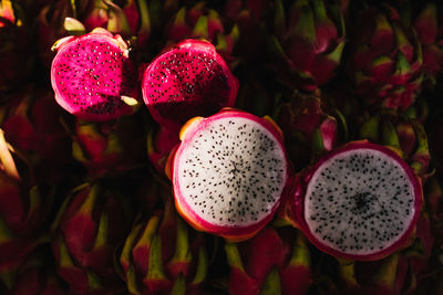 Close-up of pink flowers