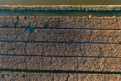 Full frame shot of patterned wall