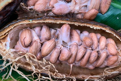 High angle view of fish for sale in market
