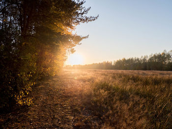 Scenic view of field against sky during sunset