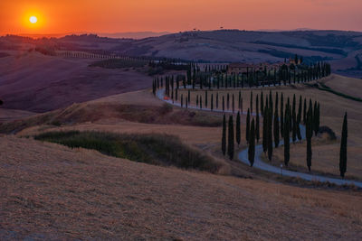 Scenic view of field against sky during sunset