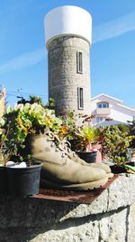 Plants by building against sky