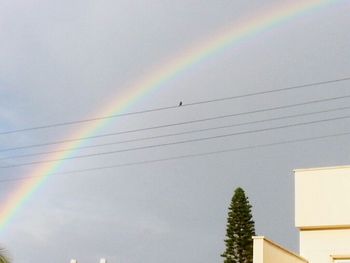 Low angle view of rainbow over trees