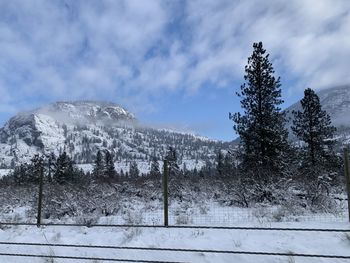 Snow covered land and trees against sky