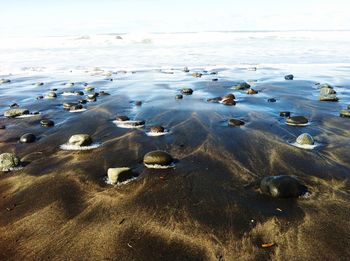 Scenic view of sea