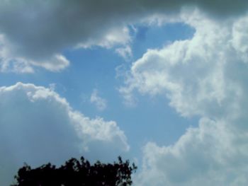 Low angle view of tree against sky