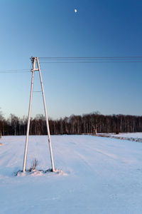 Snow covered trees against sky