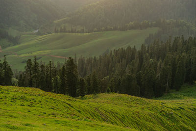 Scenic view of mountains