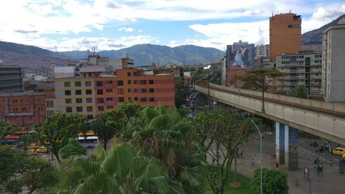 Plants and buildings in city against sky