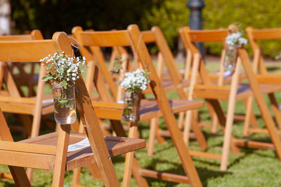 Close-up of potted plant on table