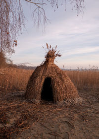 Dead tree on field against sky during sunset
