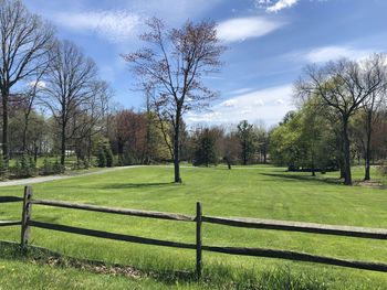 Trees on field against sky