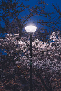 Low angle view of illuminated street light against blue sky