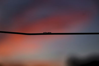 Close-up of silhouette barbed wire against sky at sunset
