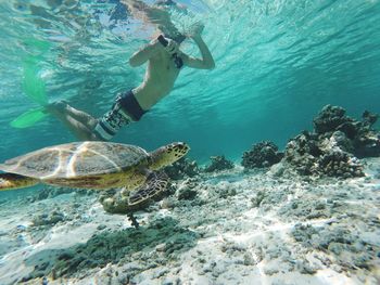 Man swimming in sea