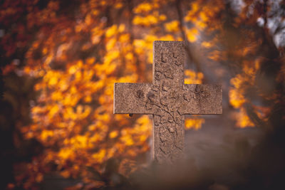 Close-up of cross in cemetery