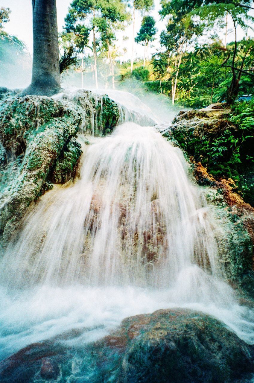 WATERFALL IN FOREST