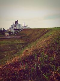 Scenic view of grassy field against sky