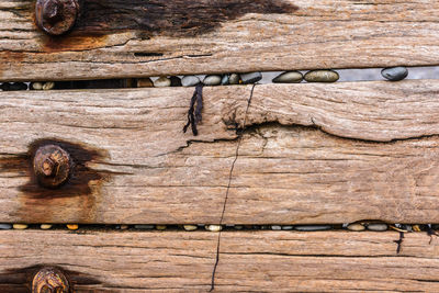 The old sea defences on aberystwyth beach