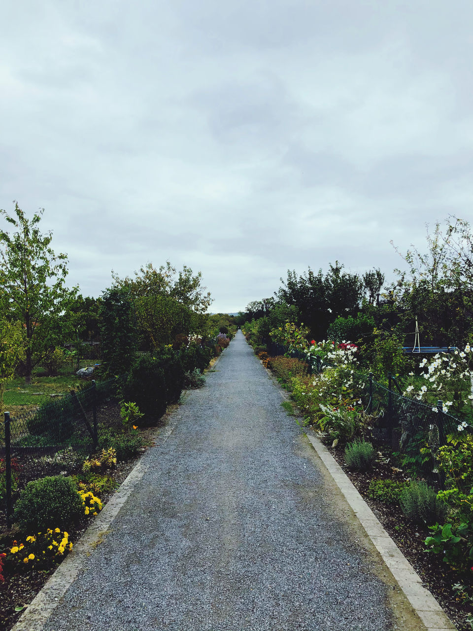 plant, the way forward, sky, cloud, nature, diminishing perspective, tree, no people, footpath, walkway, growth, flower, road, beauty in nature, vanishing point, day, outdoors, grass, green, rural area, transportation, tranquility, landscape, environment, garden, scenics - nature, leaf, land