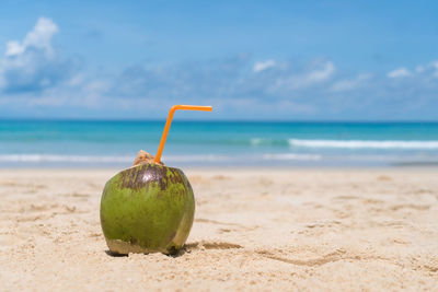 Green fruits on beach against sea