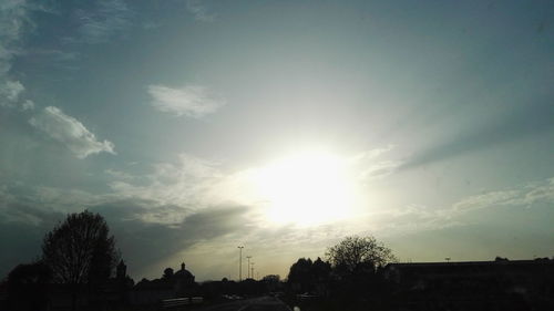 Sun shining through trees