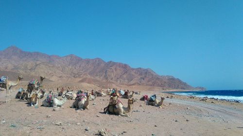 Group of people on beach