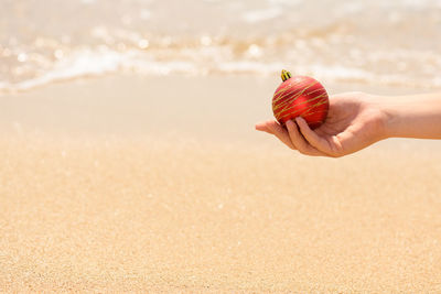 Cropped image of woman holding christmas decoration at beach