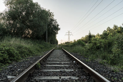 Railway tracks by trees against sky