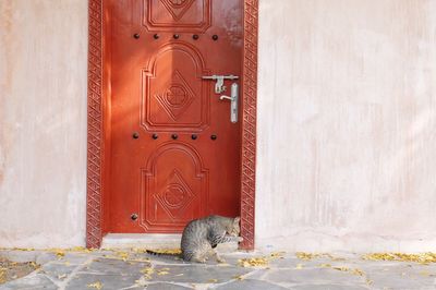 Closed door of building