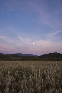 Moon rising over a field in bulgaria at sunset
