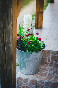 High angle view of potted plant on table