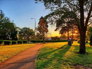 Footpath by trees in park against sky