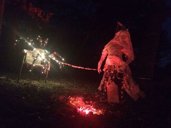 View of fire crackers at night